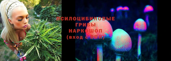 амф Алексеевка