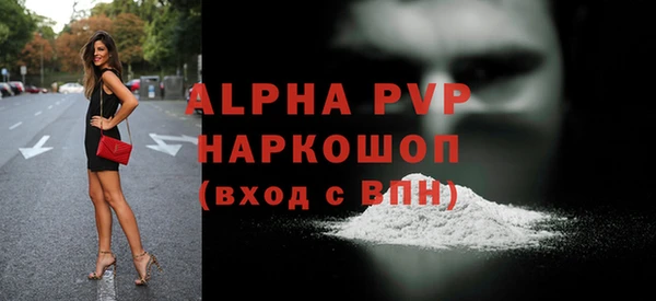 стаф Арсеньев