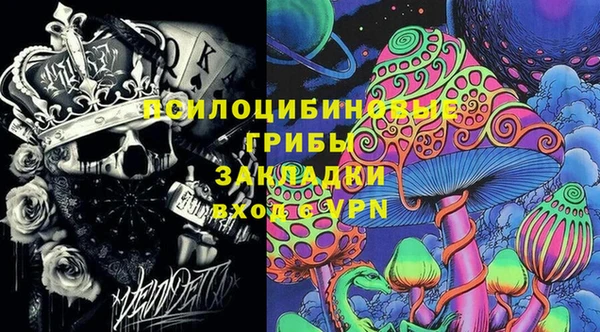 PSILOCYBIN Медвежьегорск
