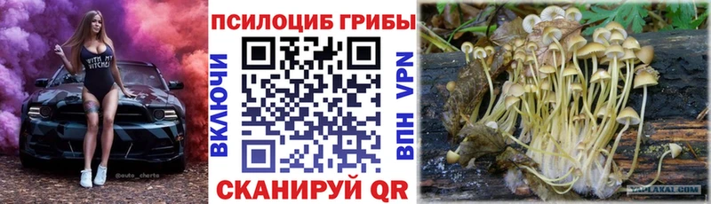 Купить  Великий Устюг  Псилоцибиновые грибы ЛСД 